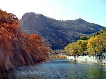 管家婆黑白马报图库，Gee Backward Masking